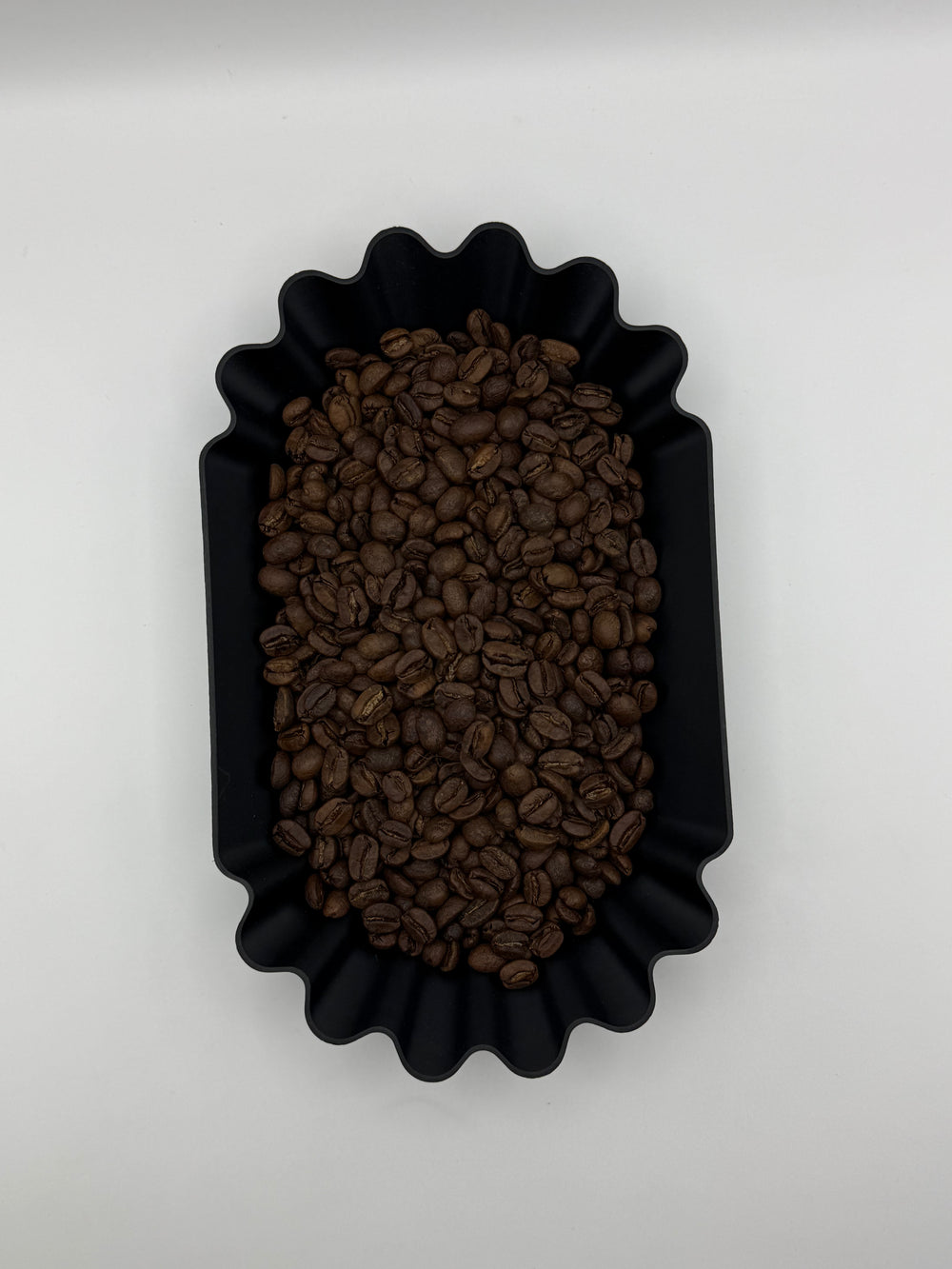 Decaf Ocicat